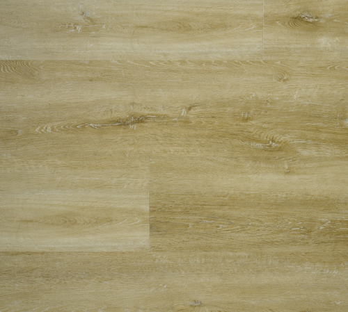 905-5020_1200x800.png 905 Premium 5020